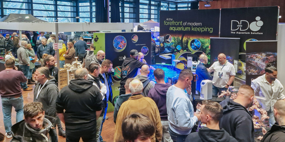 Die Reef Mania hat sich bereits einen festen Platz in der Meerwasserszene erobert. 