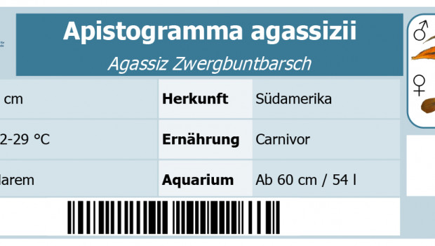 Etiketten und Steckbriefe können sich VDA-Mitglieder nun selbst ausdrucken. Etiketten und Steckbriefe können sich VDA-Mitglieder nun selbst ausdrucken.