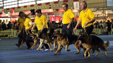 Hund & Heimtier in Dortmund