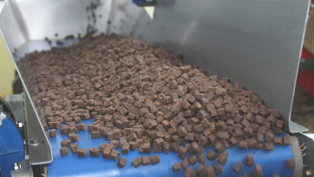 Die Heimtiernahrungsbranche kann die Kritik der Stiftung Warentest an Hundesnacks nicht nachvollziehen.