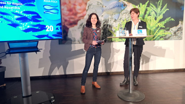 Heute startet die Aqua-Fisch