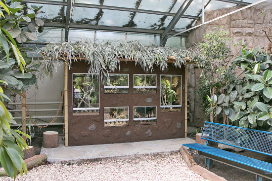 Im Tierpark Recklinghausen wurde eine 3 x 2 m große Terrarienwand mit sechs Terrarien gebaut. Sie ­beherbergt unter anderem Vogelspinne und Rosenkäfer.