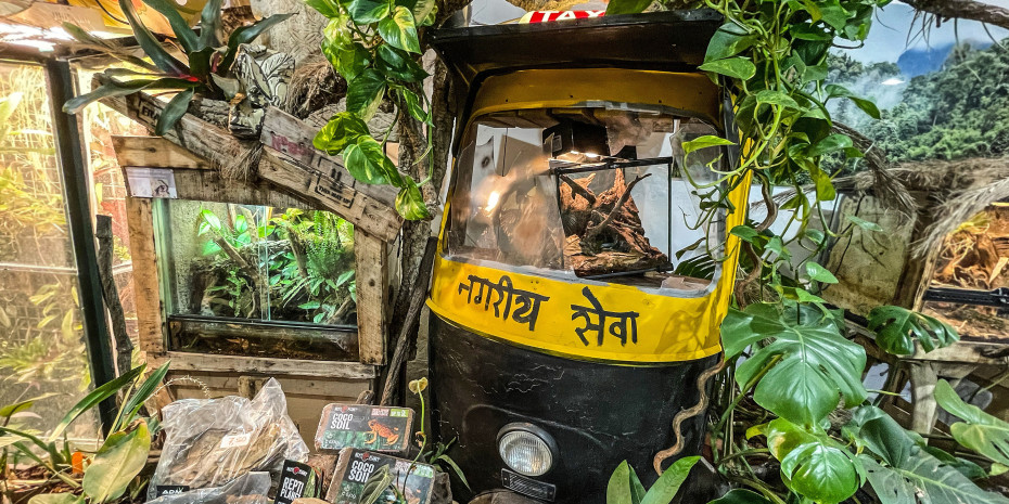 Wer einen Erlebnisraum schafft, lockt mehr Kunden an, wie ADM Aqua Design Manuel in Gladbeck.