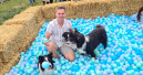 Open-Air-Event rund um den Hund Open-Air-Event rund um den Hund