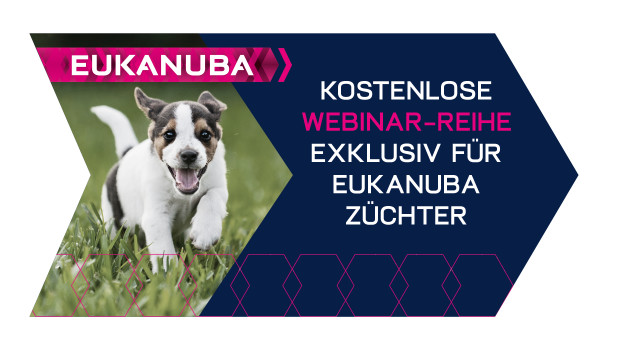 Die Teilnahme an den Webinaren ist für Mitglieder des Eukanuba-Hundezüchter Clubs kostenlos. Die Teilnahme an den Webinaren ist für Mitglieder des Eukanuba-Hundezüchter Clubs kostenlos.