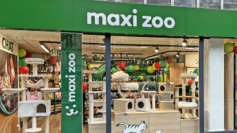 Wachstum mit City-Shopping