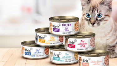 Viel mehr als nur Futter