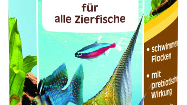 Neue Verpackung, gleicher Inhalt
