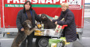 Weihnachten für den Tierschutz