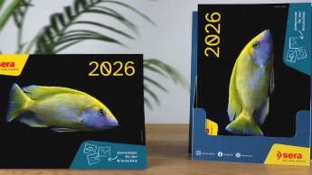 Sera-Kalender geht in die dritte Runde