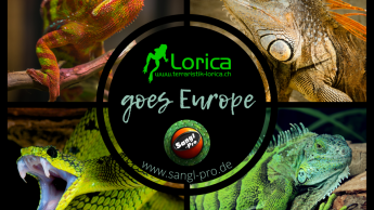 Neue Reptilien-Beleuchtung für den europäischen Markt