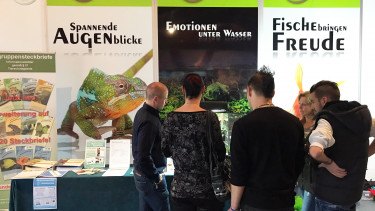 Viel mehr als Aquarienfische