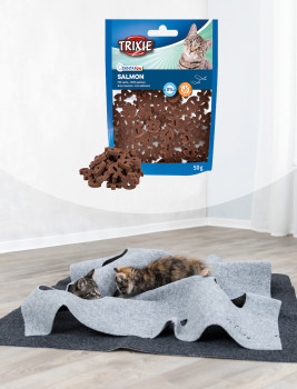 Zahnpflege-Snack für Katzen, Denta Fun Salmon-Snacks, Trixie