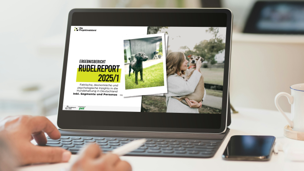Rudelreport Rudelreport