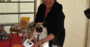 Buchpremiere und Hundechips