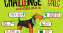Natures Menu sucht 25 Testkandidaten