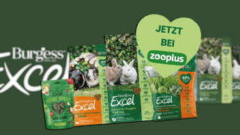 Burgess Pet Care expandiert nach Deutschland