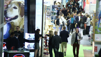Zoomark wird noch internationaler