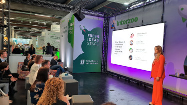 Fresh Ideas Area deutlich größer