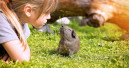 Kinder im Zoofach­geschäft