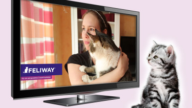 Ceva schaltet TV-Werbung