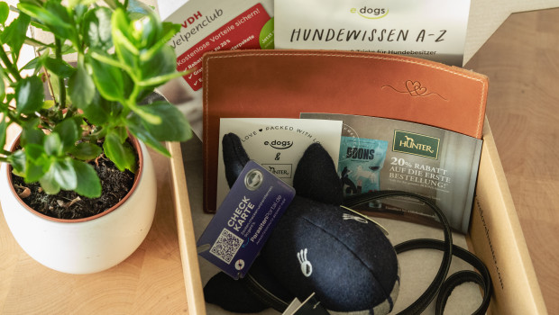 Um Tierschutz und Sicherheit zu unterstützen, spendet Hunter Käufern von Welpen auf der Plattform edogs wichtiges Zubehör für den Start.