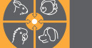 International Pet Conference in Budapest
