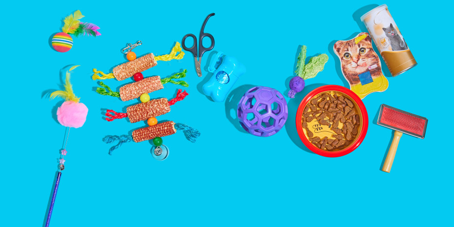 Zwischen Futter, Spielzeug und Zubehör dürfen Leckerlis in kaum einer Bestellung fehlen. Zwischen Futter, Spielzeug und Zubehör dürfen Leckerlis in kaum einer Bestellung fehlen.