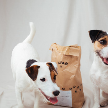 Das finnische Unternehmen Alvar kommt jetzt mit emissionsarmer Hundenahrung auf den deutschen Markt.
