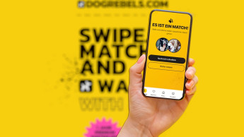 DogRebels startet Community-App „Walk With Me“ DogRebels startet Community-App „Walk With Me“
