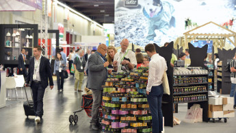 „Kurzfristiger Interzoo-Termin nicht realisierbar“