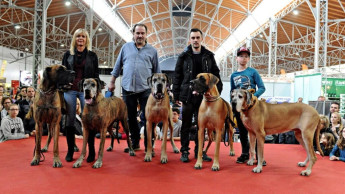 Haustiermesse in Wien mit mehr als 230 Ausstellern