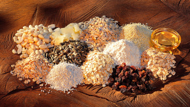 Qualitätsfutter im Garten