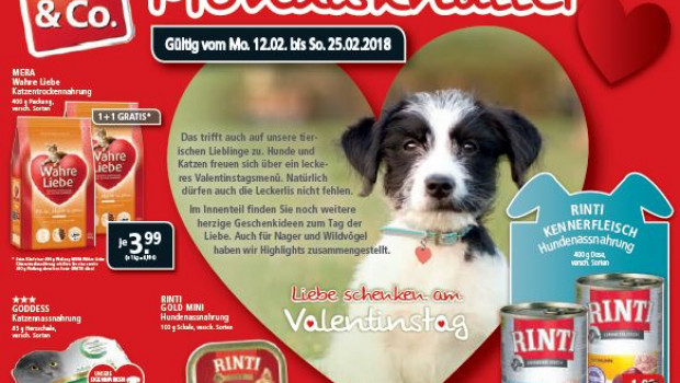 Mit den Monatsknallern soll für die Kundenbindung und -gewinnung ein neuer Impuls gesetzt werden. Mit den Monatsknallern soll für die Kundenbindung und -gewinnung ein neuer Impuls gesetzt werden.