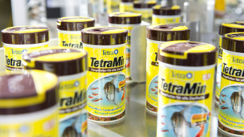 43 Jugendliche beim Tetra Zukunftstag