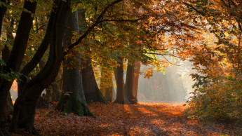 Das Futterhaus unterstützt die Deutsche Wildtier Stiftung Das Futterhaus unterstützt die Deutsche Wildtier Stiftung