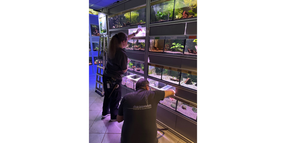 Auf 900 m2 Verkaufsfläche unterstützen den Geschäftsführer fünf Mitarbeiter und vier Aushilfen. „Die meisten sind Quereinsteiger, die Aquarien lieben“, erklärt er. 