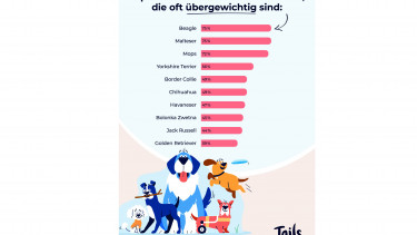Neue Untersuchung von Tails.com