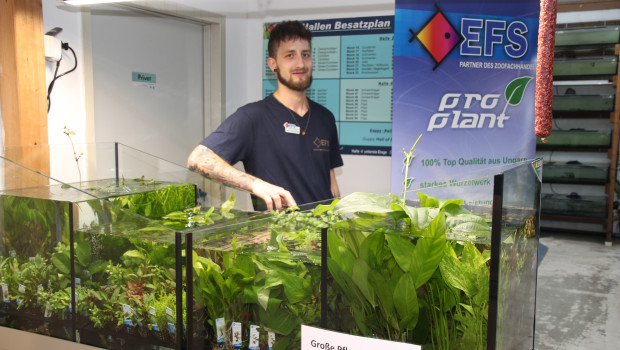 Robert Schmölzing präsentierte das neue Wasserpflanzensortiment auf der Hausmesse, stilecht dekoriert mit einer ungarischen Wurstspezialität. Robert Schmölzing präsentierte das neue Wasserpflanzensortiment auf der Hausmesse, stilecht dekoriert mit einer ungarischen Wurstspezialität.