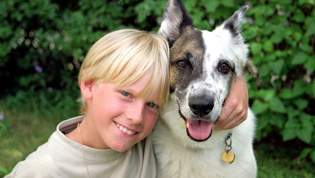 Hunde können auch im Schulunterricht gute Dienste leisten: Die Schüler sind oft motivierter, konzentrierter, rücksichtsvoller und lernen, Verantwortung zu übernehmen.