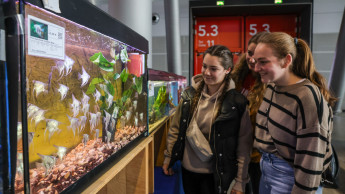 Mehr Besucher beim Stuttgarter Messeherbst