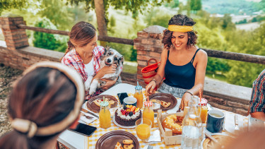 Symrise: Pet Food schwächelt im soliden ersten Halbjahr