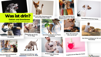 Verwöhnen oder Behandeln?