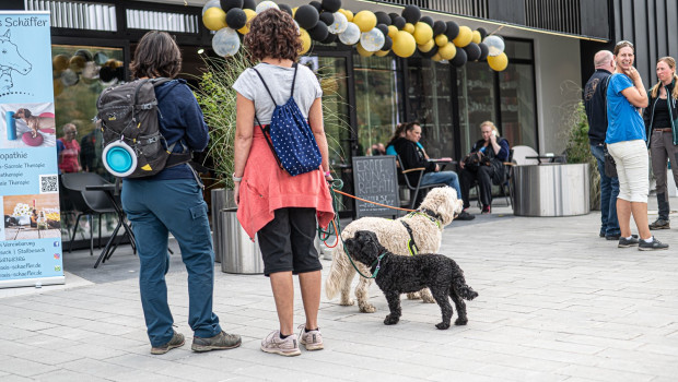 Das Hundekompetenzzentrum Bayern, dem Austragungsort des Weihnachtsmarktes, feierte vor einigen Wochen seine Eröffnung.