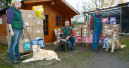 Hagen spendet an Tierheim