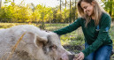 Tierschutz in der Schule gefordert