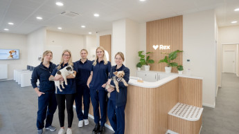 Das Start-up expandiert nach Stuttgart