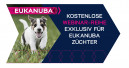Eukanuba setzt Webinar-Reihe fort