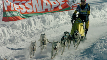 Fressnapf sponsert Schlittenhunderennen