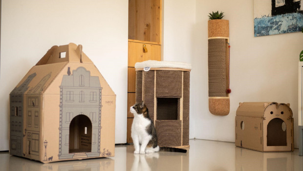 Mit stilvollen Katzenmöbeln will der Start-Up Søde Design an den Markt gehen.